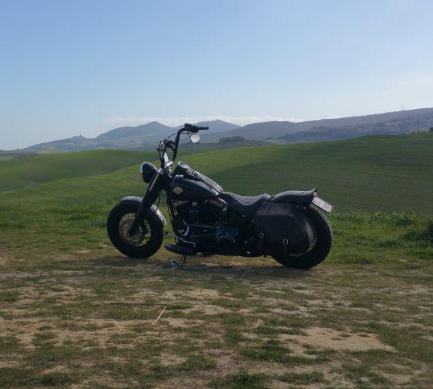 Harley davidson softail slim fls abs Harley davidson softail slim fls abs