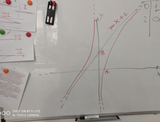 Matematica statistica e fisica in videconferenza o a