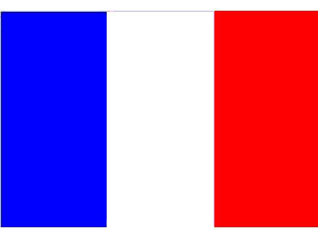 Madrelingua francese impartisce lezioni – ripetizioni Madrelingua francese impartisce lezioni – ripetizioni