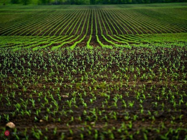 Terreno agricolo di 122mq in strada comunale forcone a