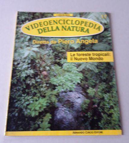 AVN 17 - Le foreste tropicali: il Nuovo Mondo