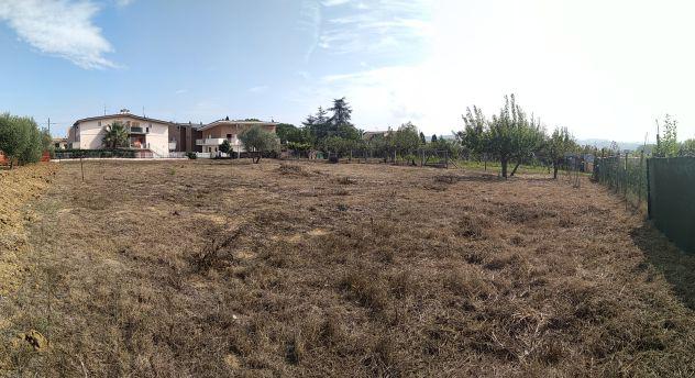 Terreno edificabile mq.1700 città sant'angelo marina Terreno edificabile mq.1700 città sant'angelo marina