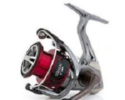 Shimano Stradic CI4 2500, 3000 e 4000 FB – Bolognese –