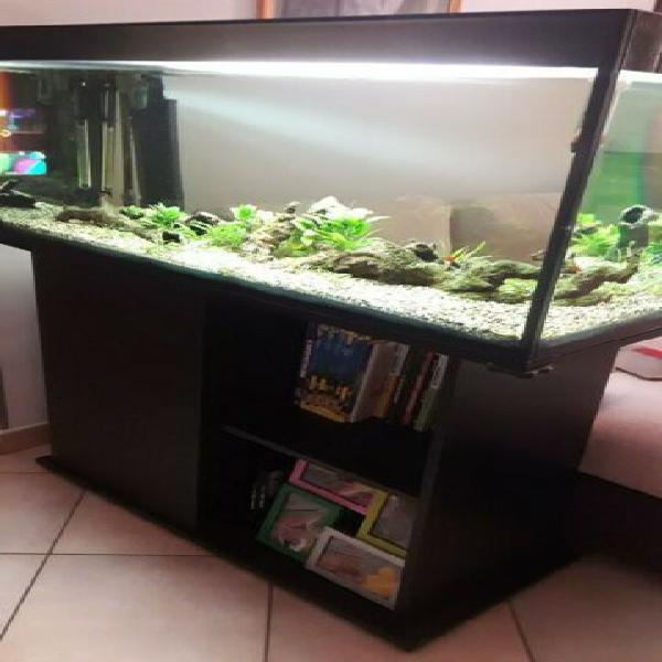 Acquario vitrea jw100 (180 litri) completo di tutto