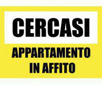 Cercasi monolocale/bilocale in affitto Cercasi monolocale/bilocale in affitto