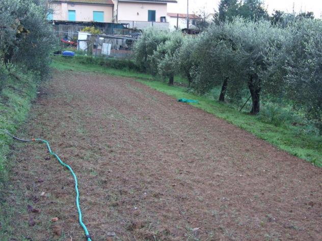 Casa singola in vendita a Santa Maria a Monte 400 mq Rif: