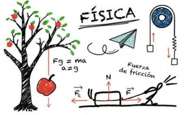 Ripetizioni di analisi e fisica