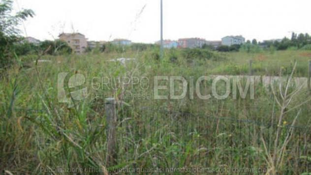 Terreno di 8230 mq in vendita a chioggia - rif. 4320036 Terreno di 8230 mq in vendita a chioggia - rif. 4320036
