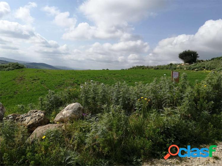 Terreno agricolo seminativo