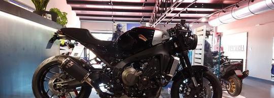 Yamaha xsr 900 900 cc firenze